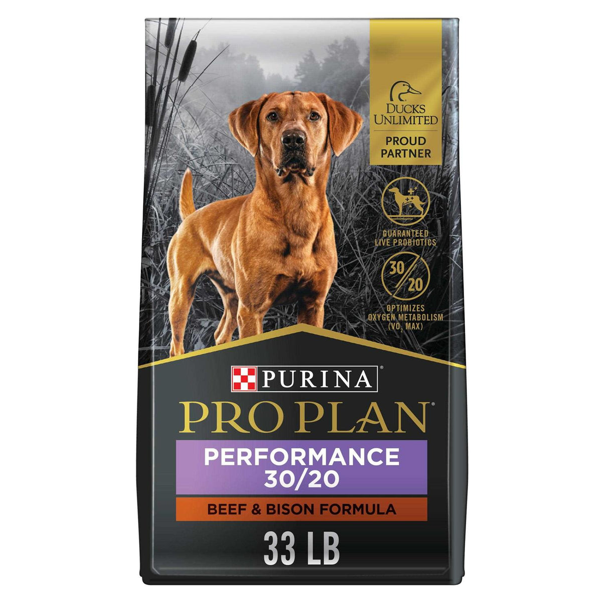 Dry Dog Food Z9289