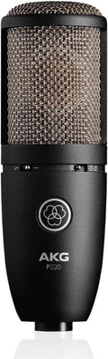 Black Condenser Microphone & USB Audio Interface L817013