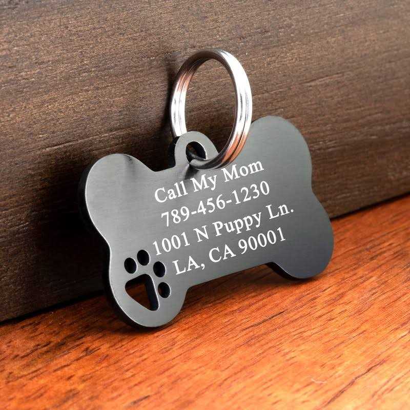 Stainless Steel Personalized Engraved Pet ID Tags K159