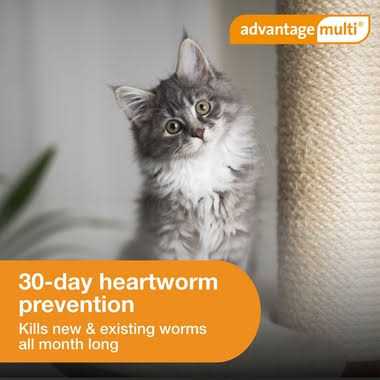 Advantage Multi for Cats L490139